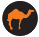Camel Camel